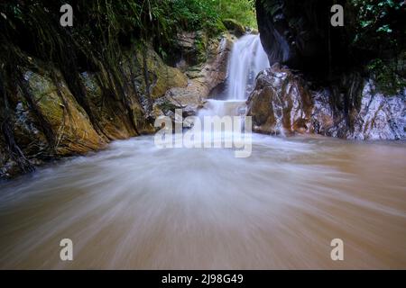 Intérieur de la jungle centrale du Pérou, végétation dense avec des rivières et des cascades pleines de pureté et de tranquillité. Banque D'Images