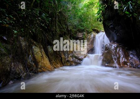 Intérieur de la jungle centrale du Pérou, végétation dense avec des rivières et des cascades pleines de pureté et de tranquillité. Banque D'Images