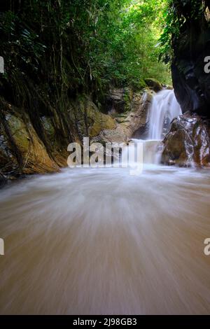 Intérieur de la jungle centrale du Pérou, végétation dense avec des rivières et des cascades pleines de pureté et de tranquillité. Banque D'Images