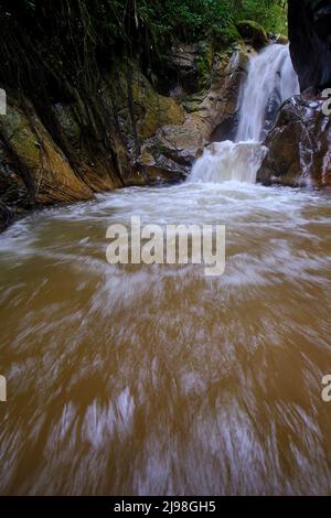 Intérieur de la jungle centrale du Pérou, végétation dense avec des rivières et des cascades pleines de pureté et de tranquillité. Banque D'Images