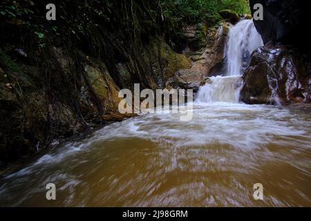 Intérieur de la jungle centrale du Pérou, végétation dense avec des rivières et des cascades pleines de pureté et de tranquillité. Banque D'Images