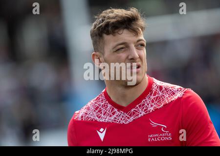 Newcastle, Royaume-Uni. 12th mars 2022. NEWCASTLE UPON TYNE, ROYAUME-UNI. MAI 21st Adam Radwan, de Newcastle Falcons, est photographié avant le match Gallagher Premiership entre Newcastle Falcons et Leicester Tigers à Kingston Park, Newcastle, le samedi 21st mai 2022. (Credit: Chris Lishman | MI News) Credit: MI News & Sport /Alay Live News Banque D'Images