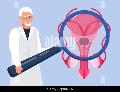 Le médecin regarde la prostate à travers une loupe. Vecteur de concept de l'icône de la prostate. Andrology andrologie illustration pour le web, page d'arrivée, blog. T Illustration de Vecteur