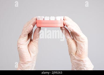 Mains dans des gants tenant le modèle à mâchoire avec des dents. Stomatology, hygiène buccale, concept de visite dentaire. Maintien de la santé des dents et des gencives. Photo de haute qualité Banque D'Images