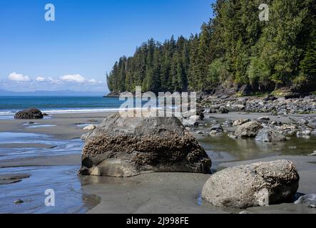 Rochers et forêt à China Beach, dans le parc provincial Juan de Fuca, en Colombie-Britannique, Canada. Banque D'Images