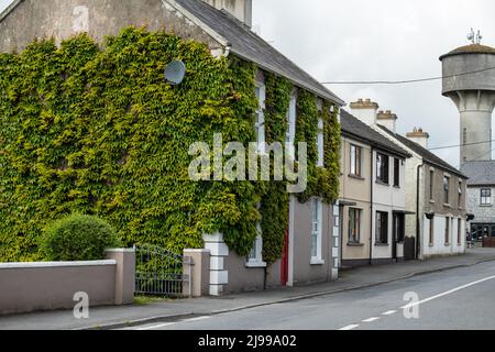 Quint ville pittoresque de la région de Shannon avec les ruines d'un monastère historique, Quin, Irlande, mai 21,2022 Banque D'Images