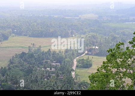 Vue en grand angle à travers une branche d'arbres en premier plan d'un village du Sri Lanka avec paysage environnant, y compris la route, le rizières et les cocotiers Banque D'Images