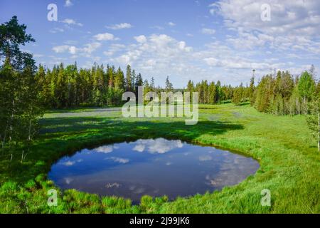 Un étang éphémère, temporaire, au printemps reflète les nuages et le ciel avec un sentiment de contemplation. Mesa Falls Scenic Byway, Island Park, Fremont Co. Etats-Unis Banque D'Images