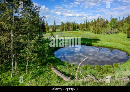 Un étang éphémère, temporaire, au printemps reflète les nuages et le ciel avec un sentiment de contemplation. Mesa Falls Scenic Byway, Island Park, Fremont Co. Etats-Unis Banque D'Images