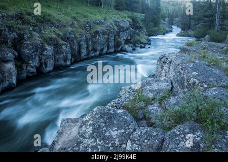 Sheep Falls sur Henrys Fork Snake River, Island Park, Fremont County, Idaho, États-Unis Banque D'Images