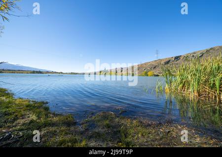 Bord pittoresque du lac Dunstan et environs aux couleurs automnales à Cromwell South Island Nouvelle-Zélande. Banque D'Images