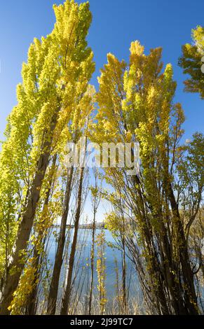 Pittoresque lac Dunstan et ses environs aux couleurs de l'automne à Cromwell South Island Nouvelle-Zélande. Banque D'Images