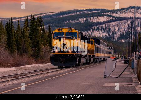 Le train de voyageurs Alaska Railroad entre au dépôt de train Denali Banque D'Images