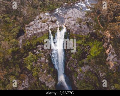 Carrington Falls, située dans les Highlands du sud de la Nouvelle-Galles du Sud, en Australie. Banque D'Images