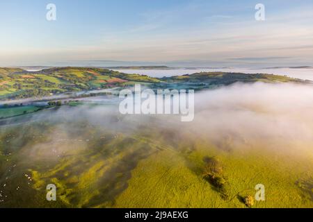 Bridport, Dorset, Royaume-Uni. 22nd mai 2022. Météo Royaume-Uni. La brume surplombe les collines et dans les vallées près de Bridport à Dorset peu après le lever du soleil. Crédit photo : Graham Hunt/Alamy Live News Banque D'Images