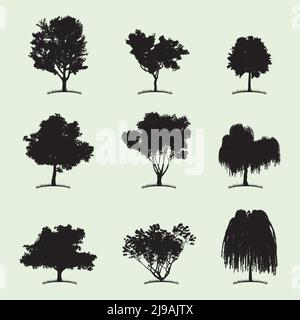 Tree Collection Flat icône avec neuf types de plantes différents illustration vectorielle sur fond blanc Illustration de Vecteur