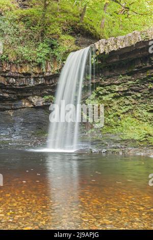 Sgwd Gwladus (Lady Falls) Pyrddin sur River, près de Pontneddfechan, parc national de Brecon Beacons, dans le sud du Pays de Galles, Royaume-Uni Banque D'Images