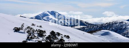 Mont Feathertop dans la Great Dividing Range, Victoria, Australie Banque D'Images