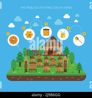 Processus d'extraction de miel concept avec plusieurs étapes sur bleu illustration vectorielle plate d'arrière-plan Illustration de Vecteur