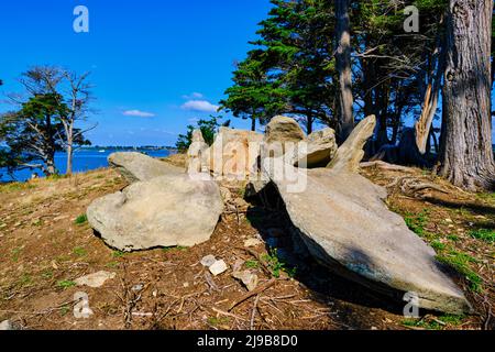 France, Morbihan, Golfe du Morbihan, Île d'Arz, dolmen Banque D'Images