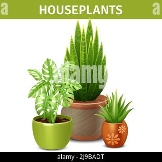 Composition réaliste de plantes de maison avec pots de plantes vertes et vecteur de sol illustration Illustration de Vecteur