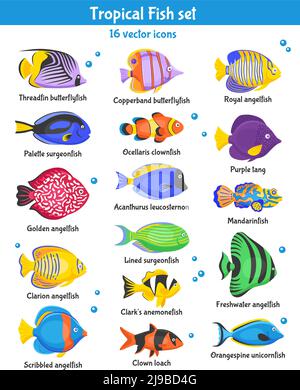 Icônes exotiques de poissons tropicaux avec des espèces de poissons isolées à plat illustration vectorielle Illustration de Vecteur