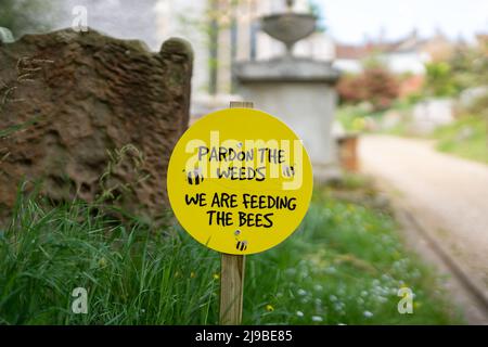 Pardon les mauvaises herbes, nous nourrissons le signe des abeilles placé entre les fleurs sauvages dans une cour d'église Banque D'Images