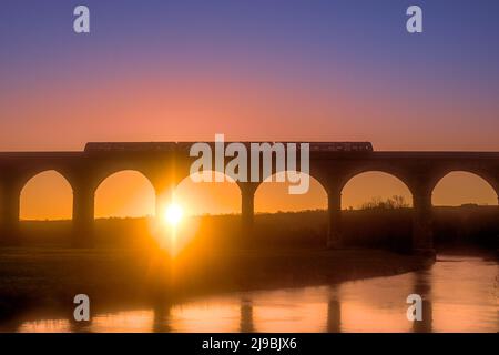 Magnifique ciel rose et violet à l'aube au lever du soleil entre les arches du Viaduc d'Arthington traversant la rivière Wharfe dans le Yorkshire. Banque D'Images