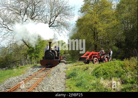 'Winifrad' entre Dolfawr et Pentrepiod s'arrête avec un train de wagons d'ardoise, de tracteur d'époque et de ré-acteurs. Banque D'Images