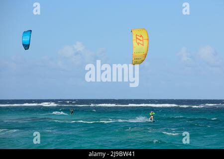 BOCA GRANDI, ARUBA - 17 DÉCEMBRE 2020: Kitesurfers à la plage de Boca Grandi sur la côte sud-est de l'île des Caraïbes d'Aruba Banque D'Images