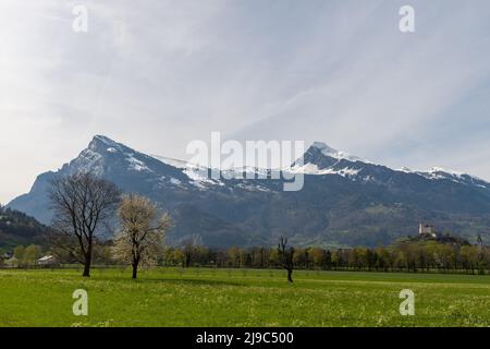 Maienfeld, Grison, Suisse, 11 avril 2022 deux sommets de montagne derrière un champ vert frais dans la vallée du rhin par une journée ensoleillée au printemps Banque D'Images