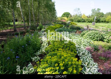 Breezy genoux Gardens Banque D'Images