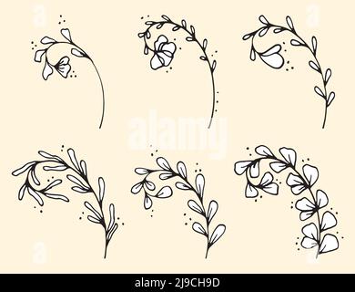 Ensemble de feuilles et de branches vectorielles de caniche dessinées à la main. Collection d'arbres Floral, éléments végétaux Illustration de Vecteur