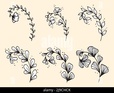 Ensemble de feuilles et de branches vectorielles de caniche dessinées à la main. Collection d'arbres Floral, éléments végétaux Illustration de Vecteur