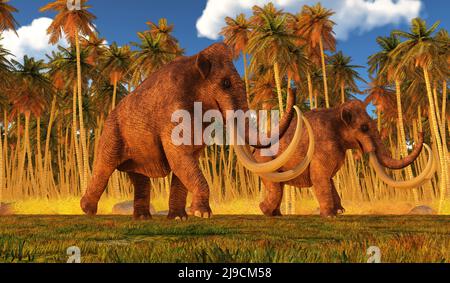 Le Mammoth colombien était un éléphant herbivore qui vivait en Amérique du Nord durant l'ère du Pléistocène. Banque D'Images