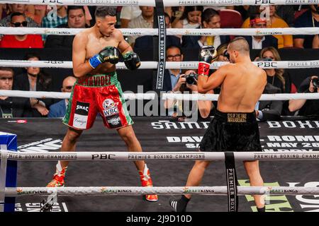 Glendale, Glendale, Arizona, États-Unis. 21st mai 2022. GLENDALE, AZ - 21 MAI : (G-D) David Benavidez combat David Lemieux dans leur combat de super midlewhuit lors de la course de championnat intérimaire de Benavidez v Lemieux: WBC à Gila River Arena le 21 mai 2022 à Glendale, États-Unis. (Credit image: © Raul Vazquez/PX Imagens via ZUMA Press Wire) Banque D'Images