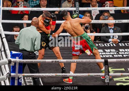 Glendale, Glendale, Arizona, États-Unis. 21st mai 2022. GLENDALE, AZ - 21 MAI : (G-D) David Benavidez combat David Lemieux dans leur combat de super midlewhuit lors de la course de championnat intérimaire de Benavidez v Lemieux: WBC à Gila River Arena le 21 mai 2022 à Glendale, États-Unis. (Credit image: © Raul Vazquez/PX Imagens via ZUMA Press Wire) Banque D'Images