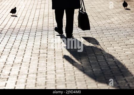 Silhouette de vieille femme avec sac à main qui descend la rue et pigeons, ombre noire sur le trottoir. Concept de vie de retraite, shopping Banque D'Images