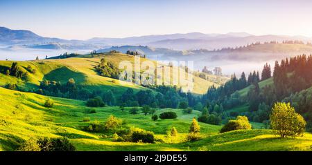 Campagne lumineuse autour d'une ferme dans la lumière du matin. Jour pittoresque et magnifique scène. Emplacement Placez Carpathian, l'Ukraine, l'Europe. Concept Banque D'Images