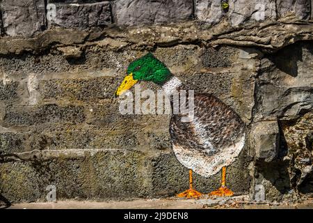 Animaux dans la peinture de rue, représentation artistique des animaux dans les rues, murs de ville, Limerick,Irlande,mai,15,2022 Banque D'Images