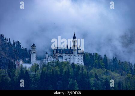 Château de Neuschwanstein dans la brume printanière, Bavière, Allemagne Banque D'Images