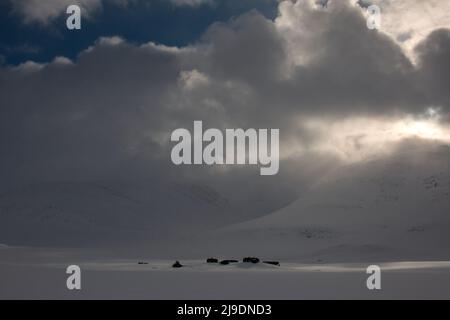 Cabanes de montagne Salka sur le sentier de Kungsleden recouvert de neige pendant la saison d'hiver, avril, Laponie, Suède Banque D'Images