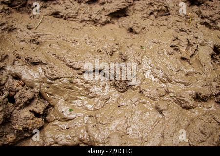 Gros plan sur la saleté. Boue liquide tout-terrain. Sol après la pluie. Texture de l'arrière-plan sale. Banque D'Images