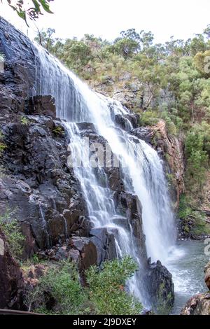 Automne dans le parc national des Grampians et Halls Gap. Banque D'Images