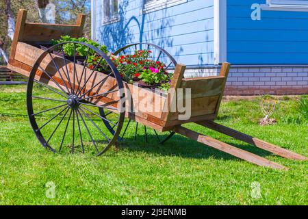 Une charrette en bois vintage avec pots de fleurs se dresse sur l'herbe verte du jardin lors d'une journée d'été Banque D'Images