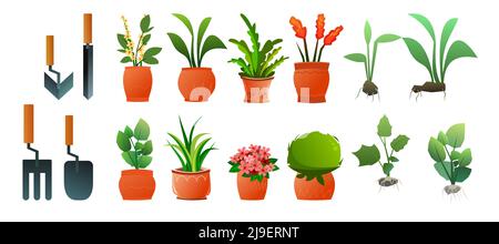 Ensemble de plantes et fleurs intérieures. Outils de jardin et semis. Dans des pots en céramique. De belles herbes maison. Isolé sur fond blanc. Dessin animé amusant Illustration de Vecteur