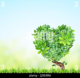 Paysage idyllique avec herbe verte, ciel bleu et arbre avec couronne en forme de coeur.Consommation responsable.Coeur fait de feuilles vertes dans la prairie.Amour de Banque D'Images