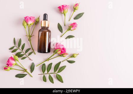 huile cosmétique, huile essentielle ou sérum d'auto-soin en bouteille sur fond violet avec fleurs fraîches. cosmétiques naturels Banque D'Images