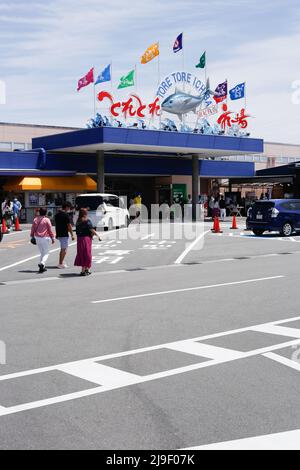 wakayama, japon, 2022/02/05 , marché aux poissons de l'ichiba toretore. Un marché du poisson est un marché de vente de poisson et de produits du poisson. Il peut être dédié à W Banque D'Images