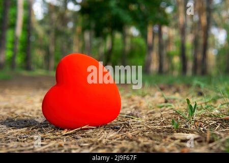 Gros plan d'un grand coeur rouge sur le sol avec un fond de forêt, foyer sélectif. Concept de soins forestiers. Banque D'Images